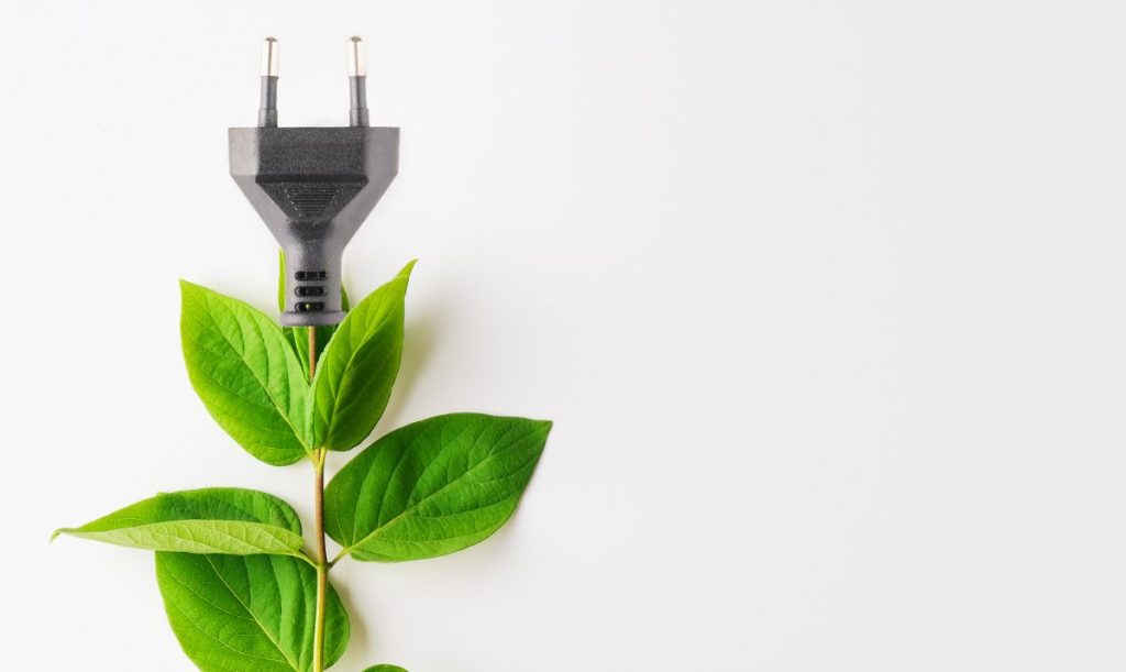 Concetto ecologico di sostenibilità delle energie rinnovabili: spina di alimentazione con foglie verdi su sfondo bianco.