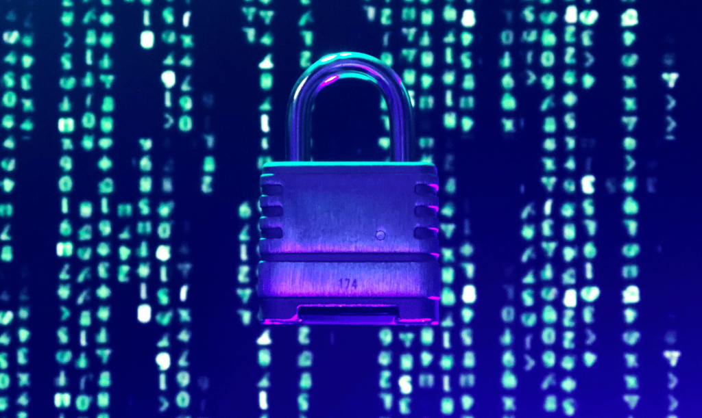 DDL Cybersicurezza 2025